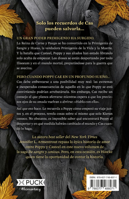 UN ALMA DE CENIZA Y SANGRE libro 5 - SAGA de sangre y ceniza