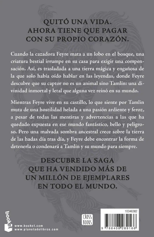 UNA CORTE DE ROSAS Y ESPINAS - ACOTAR 1