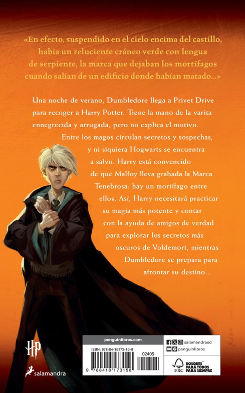 HARRY POTTER Y EL MISTERIO DEL PRINCIPE (Libro 6)