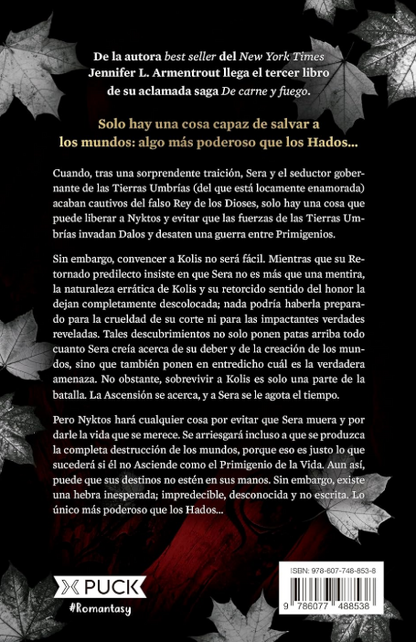 UN FUEGO EN LA CARNE libro 3 - SAGA Carne y fuego (precuela sangre y ceniza)