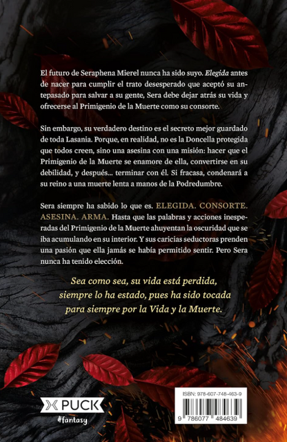 UNA SOMBRA EN LAS BRASAS libro 1 - SAGA Carne y fuego (precuela sangre y ceniza)