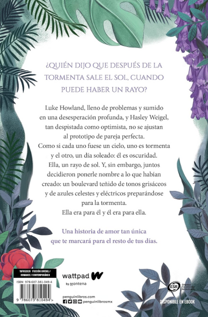BOULEVARD - LA VERSION DE FLOR (Libro 1)