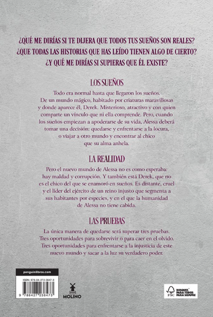 DESTINO PROHIBIDO - Crónicas de Hiraia (Libro 1)